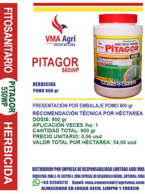 Pitagor 550wp